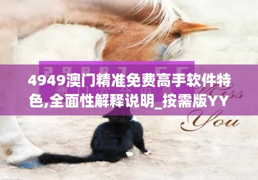 鸢飞鱼跃 第4页