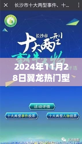 探秘翼龙热门型，小巷深处的隐藏瑰宝与美食奇缘