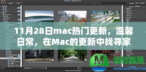 熊经鸟申 第5页