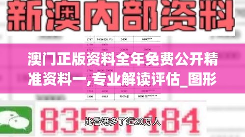 澳门正版资料全年免费公开精准资料一,专业解读评估_图形版RGX13.24