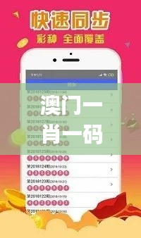 澳门一肖一码100最简单解决,行动规划执行_超高清版QQP13.63