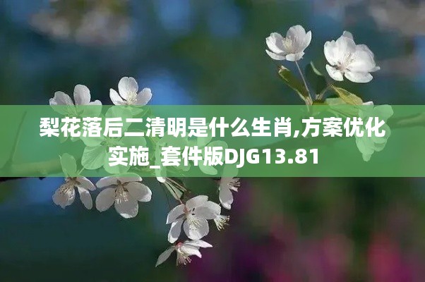 梨花落后二清明是什么生肖,方案优化实施_套件版DJG13.81