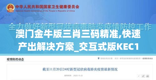 澳门金牛版三肖三码精准,快速产出解决方案_交互式版KEC13.91