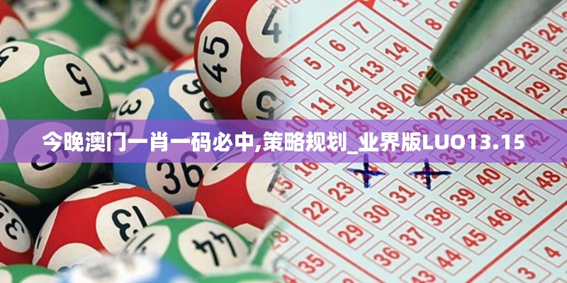 今晚澳门一肖一码必中,策略规划_业界版LUO13.15