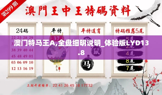 澳门特马王A,全盘细明说明_体验版LYD13.8