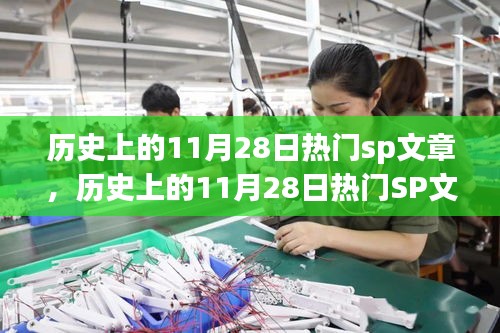 历史上的11月28日热门SP文章回顾与撰写指南