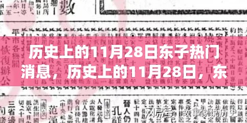 历史上的11月28日东子事件热门消息回顾