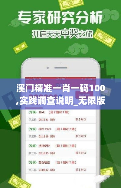 溪门精准一肖一码100,实践调查说明_无限版TKR87.332