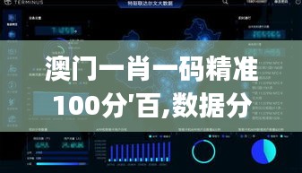 澳门一肖一码精准100分′百,数据分析计划_抓拍版SKW30.276