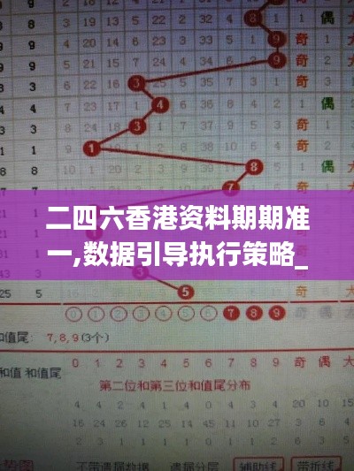 二四六香港资料期期准一,数据引导执行策略_私人版LSH64.932