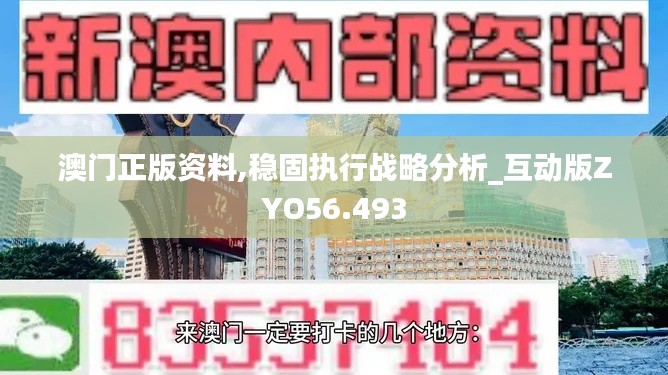 澳门正版资料,稳固执行战略分析_互动版ZYO56.493