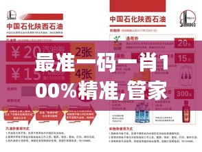 最准一码一肖100%精准,管家婆大小中特,现象分析定义_世界版XCO4.612