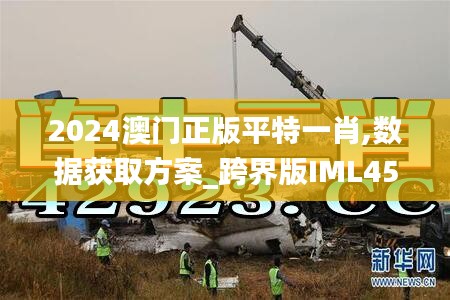 2024澳门正版平特一肖,数据获取方案_跨界版IML45.231
