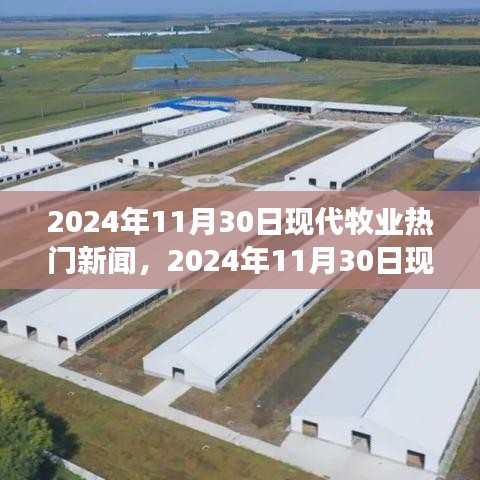 沉厚寡言 第5页