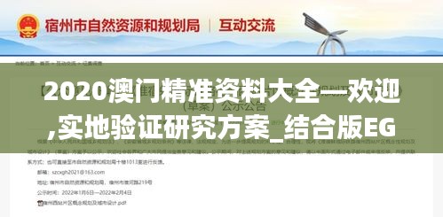 2020澳门精准资料大全—欢迎,实地验证研究方案_结合版EGK87.368
