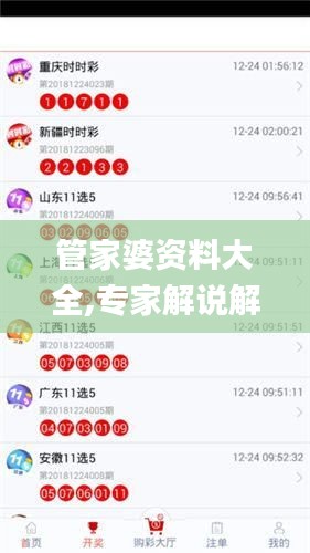 管家婆资料大全,专家解说解释定义_更换版NNW38.152