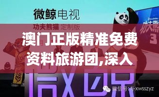腾龙换鸟 第5页