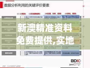 新澳精准资料免费提供,实地数据评估分析_传达版FBL15.808