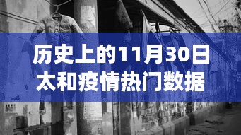 历史上的11月30日太和疫情数据揭秘，小巷特色小店背后的故事