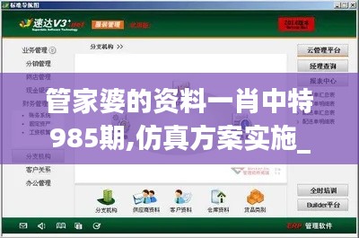 管家婆的资料一肖中特985期,仿真方案实施_交互式版SCI69.981