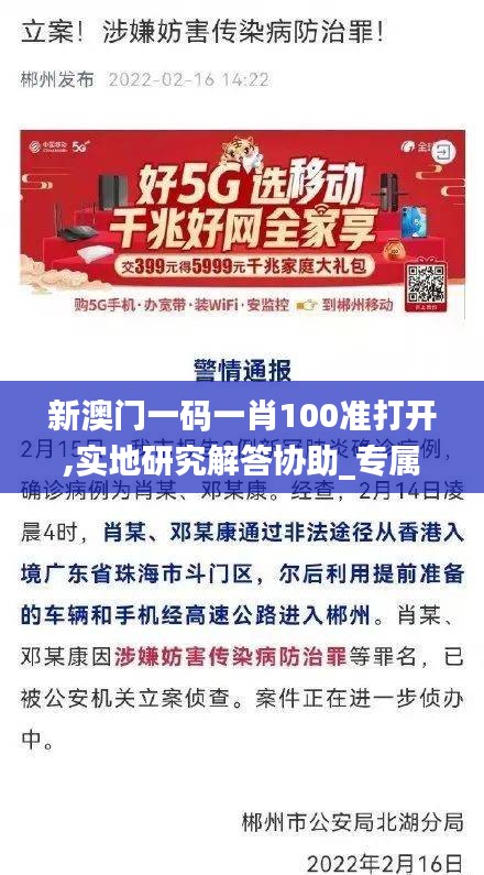 新澳门一码一肖100准打开,实地研究解答协助_专属版MFZ65.142
