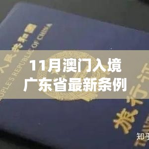 澳门入境广东省最新条例解析，多重视角下的探讨与观点分享