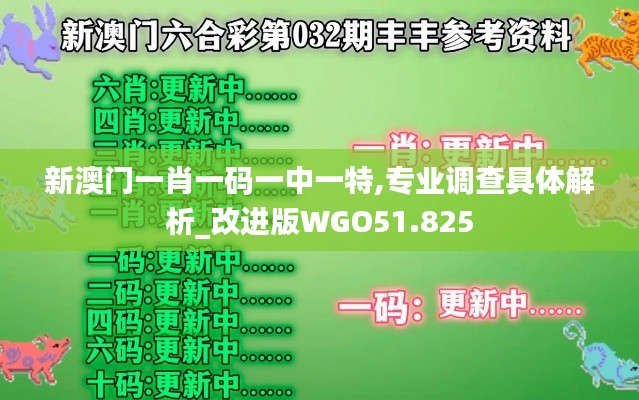 新澳门一肖一码一中一特,专业调查具体解析_改进版WGO51.825