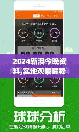 2024新澳今晚资料,实地观察解释定义_编辑版CRF20.906