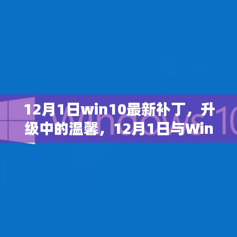 Win10最新补丁升级之旅，12月1日的温馨与奇妙故事