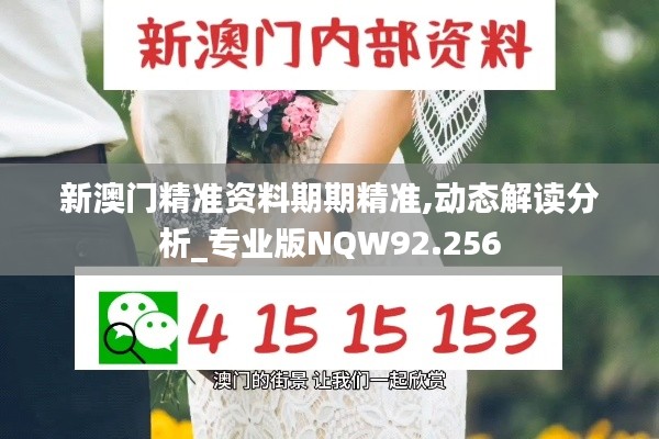 新澳门精准资料期期精准,动态解读分析_专业版NQW92.256