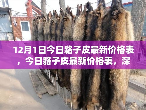 慌慌张张 第6页