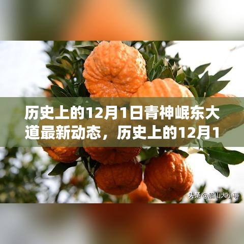 历史上的12月1日，探寻青神岷东大道最新发展动态