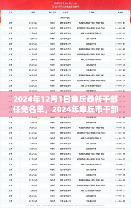 顶天立地 第5页