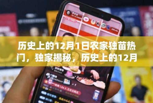 独家揭秘，农家独苗变身科技巨擘，历史上的12月1日高科技产品震撼登场！