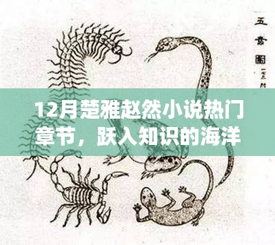 学贵有疑 第5页