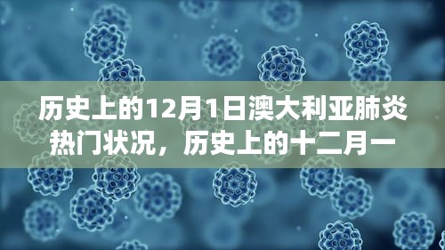 木乾鸟栖 第5页