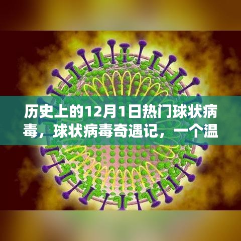 球状病毒奇遇记，十二月一日的温馨故事
