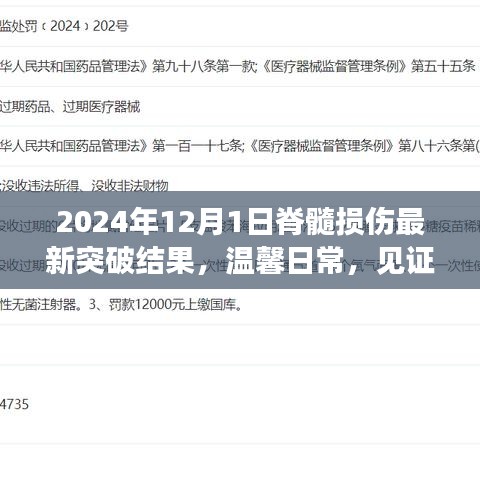 2024年12月1日脊髓损伤最新突破结果，温馨日常，见证奇迹——记脊髓损伤的最新突破与友情的力量
