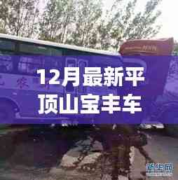 平顶山宝丰12月最新车祸深度解析,事故原因揭秘,警醒社会