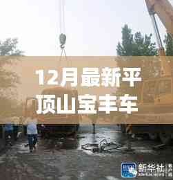 平顶山宝丰12月最新车祸深度解析,事故原因揭秘,警醒社会