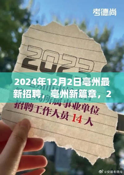 亳州最新招聘启幕，点燃职场之光，学习变化助力梦想起航（2024年12月2日）