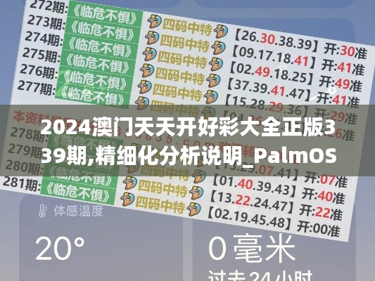 2024澳门天天开好彩大全正版339期,精细化分析说明_PalmOS174.602-2