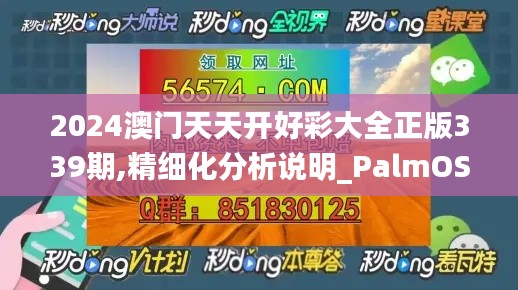 2024澳门天天开好彩大全正版339期,精细化分析说明_PalmOS174.602-2