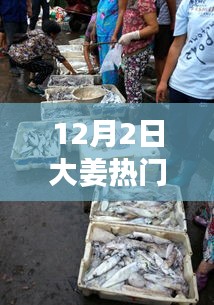 探秘昌邑宏大，小巷深处的姜香秘境，热门大姜价格揭秘