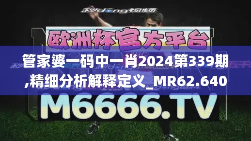 管家婆一码中一肖2024第339期,精细分析解释定义_MR62.640-8