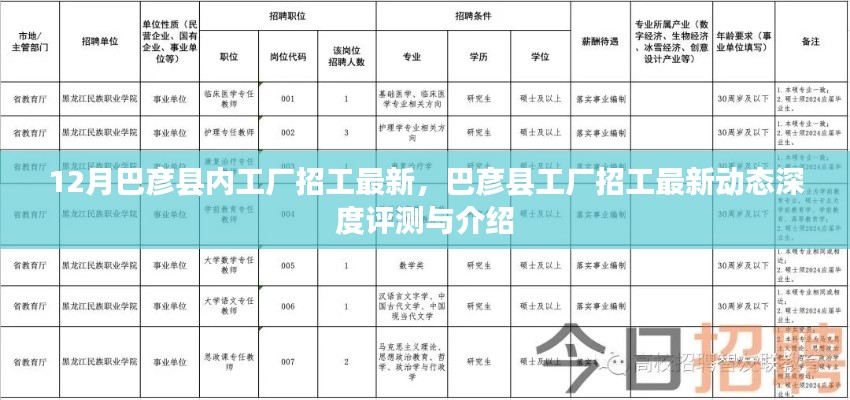 巴彦县工厂最新招工动态深度评测与介绍