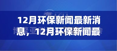12月环保新闻全面评测与介绍，最新消息及动态分析