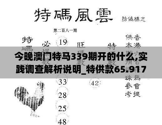 今晚澳门特马339期开的什么,实践调查解析说明_特供款65.917-6