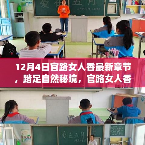 踏足自然秘境的心灵之旅，最新官路女人香章节