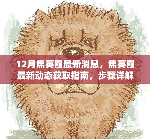 焦英霞最新动态获取指南，步骤详解，适合初学者与进阶用户